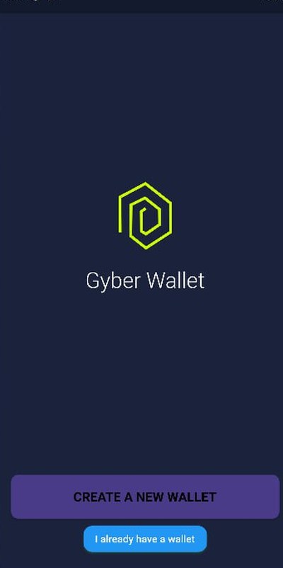 Gyber Wallet: стартовый экран